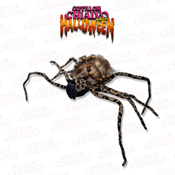 Araña Peluda C/Ampollas (63x15x7cm)