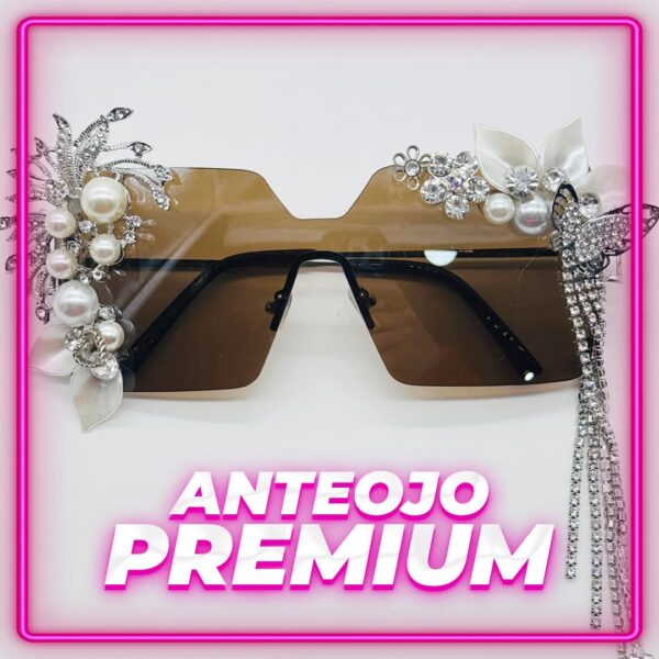 Anteojo Premium con apliques
