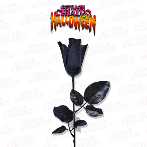 Rosa Tallo Negra Halloween