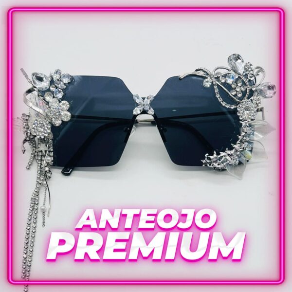 Anteojo Premium con apliques