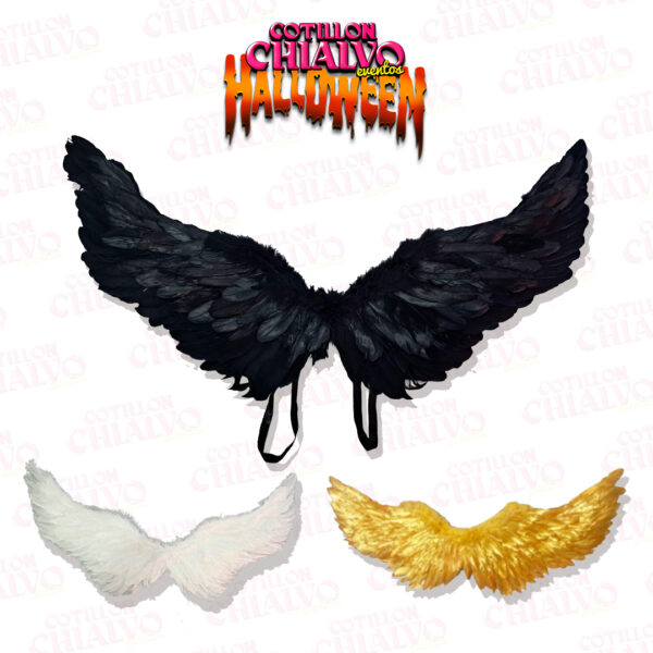 Alas Plumas Grandes