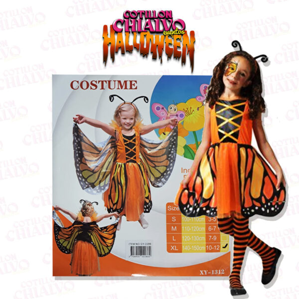 Disfraz Mariposa Niña