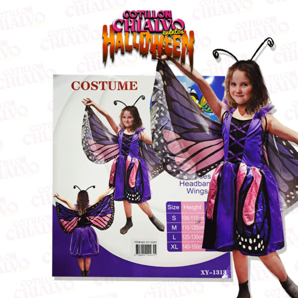 Disfraz Mariposa Niña