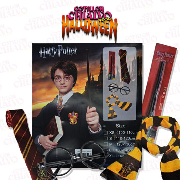 Disfraz Harry Potter C/Varita