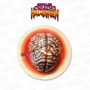 Cerebro En Plato